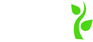 sturdy springs